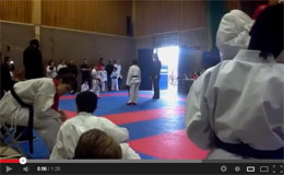 Olympic Karate Championships Video